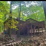 Harmony In The Woods