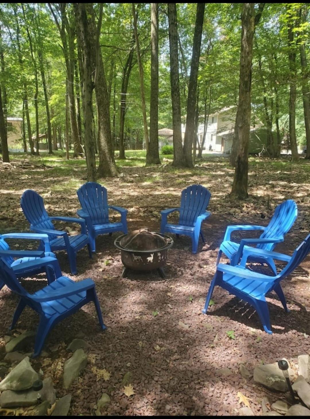 Harmony In The Woods